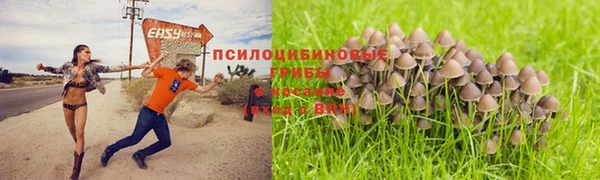 первитин Заволжск