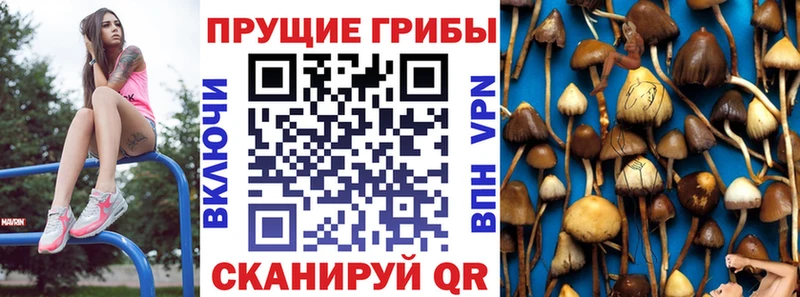 hydra маркетплейс  Озёры  Галлюциногенные грибы мицелий 