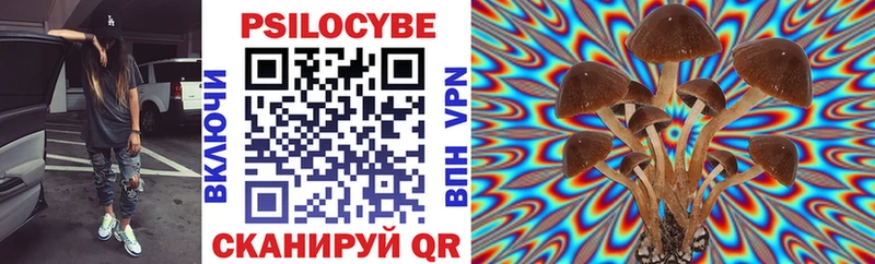 Псилоцибиновые грибы мицелий Озёры